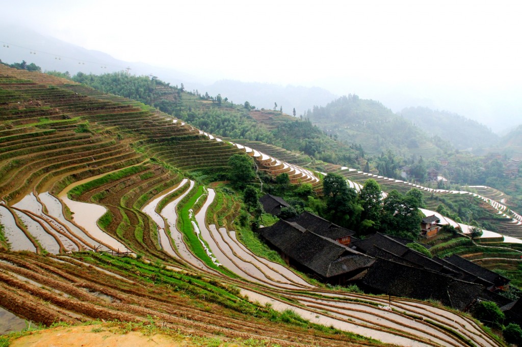 Guilin, China: Dragon's Backbone Rice Terraces Day! - i put my life on ...