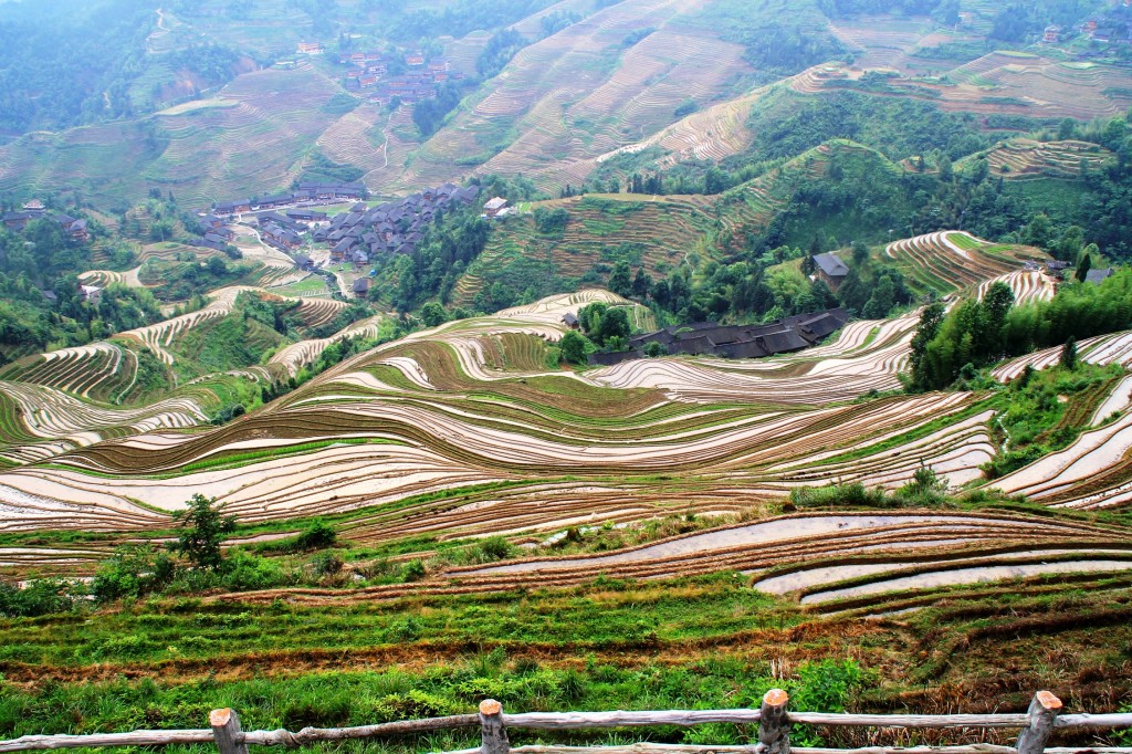 Guilin, China: Dragon's Backbone Rice Terraces Day! - i put my life on ...