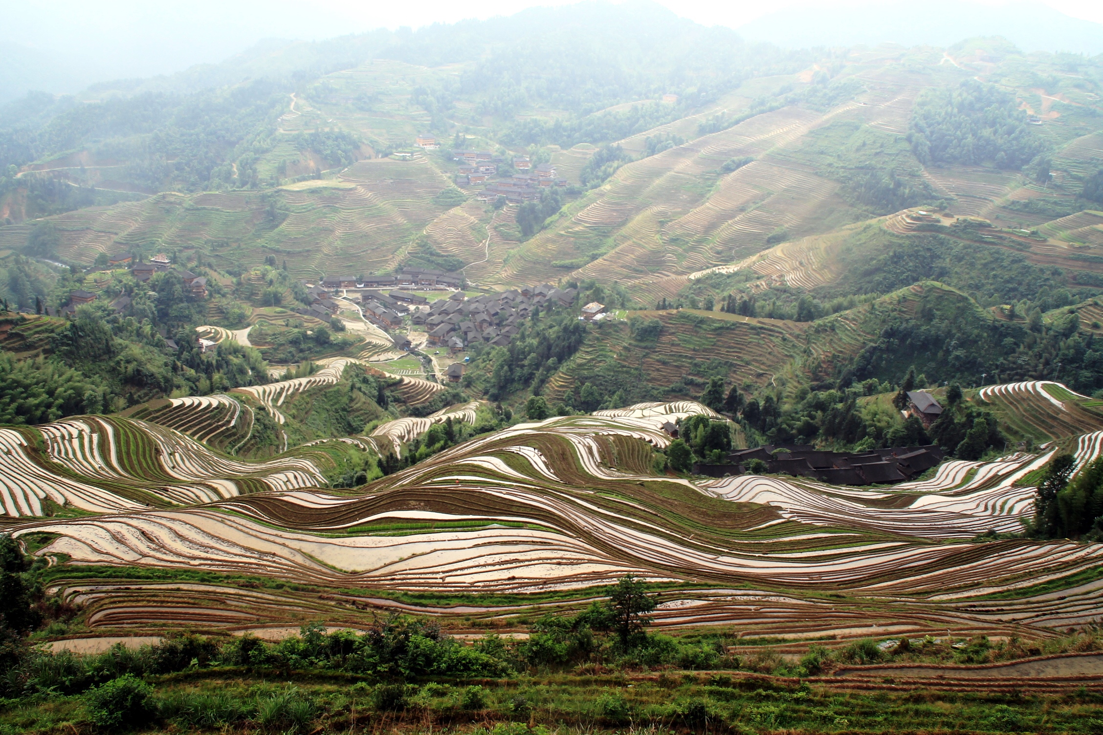 dragons backbone rice terraces - i put my life on a shelf