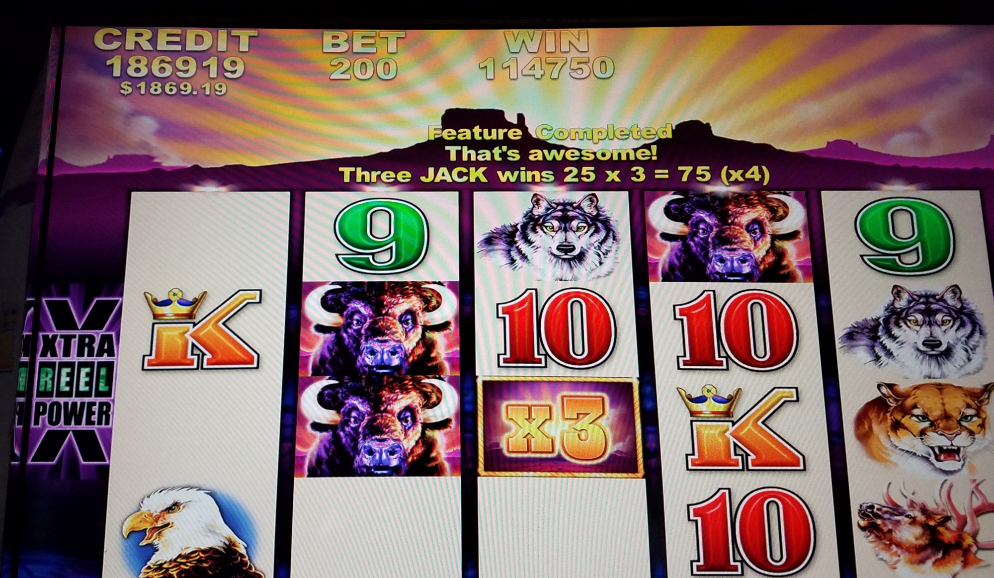best buffalo slot machine