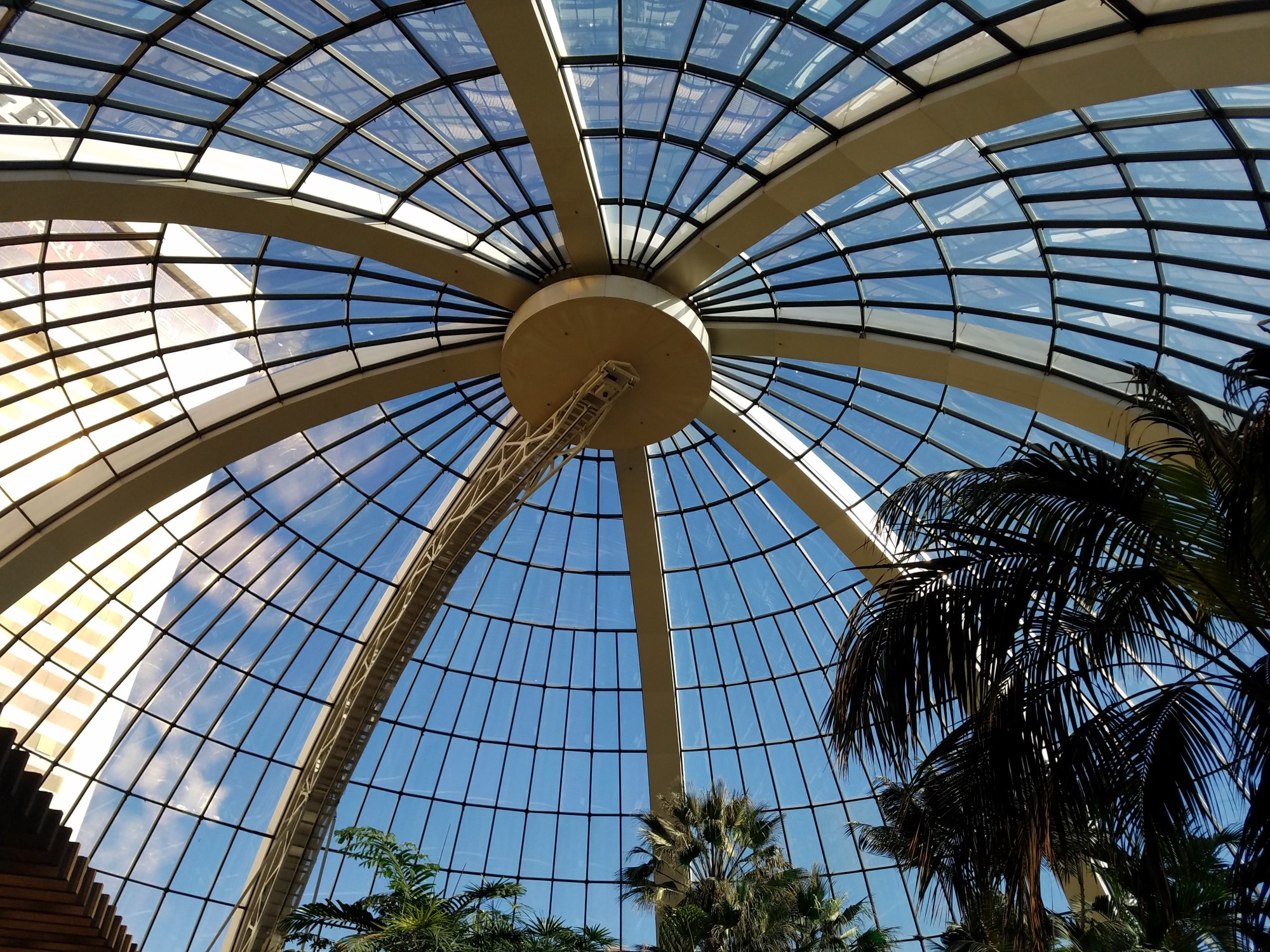 Mirage Las Vegas Atrium Glass Ceiling I Put My Life On A Shelf