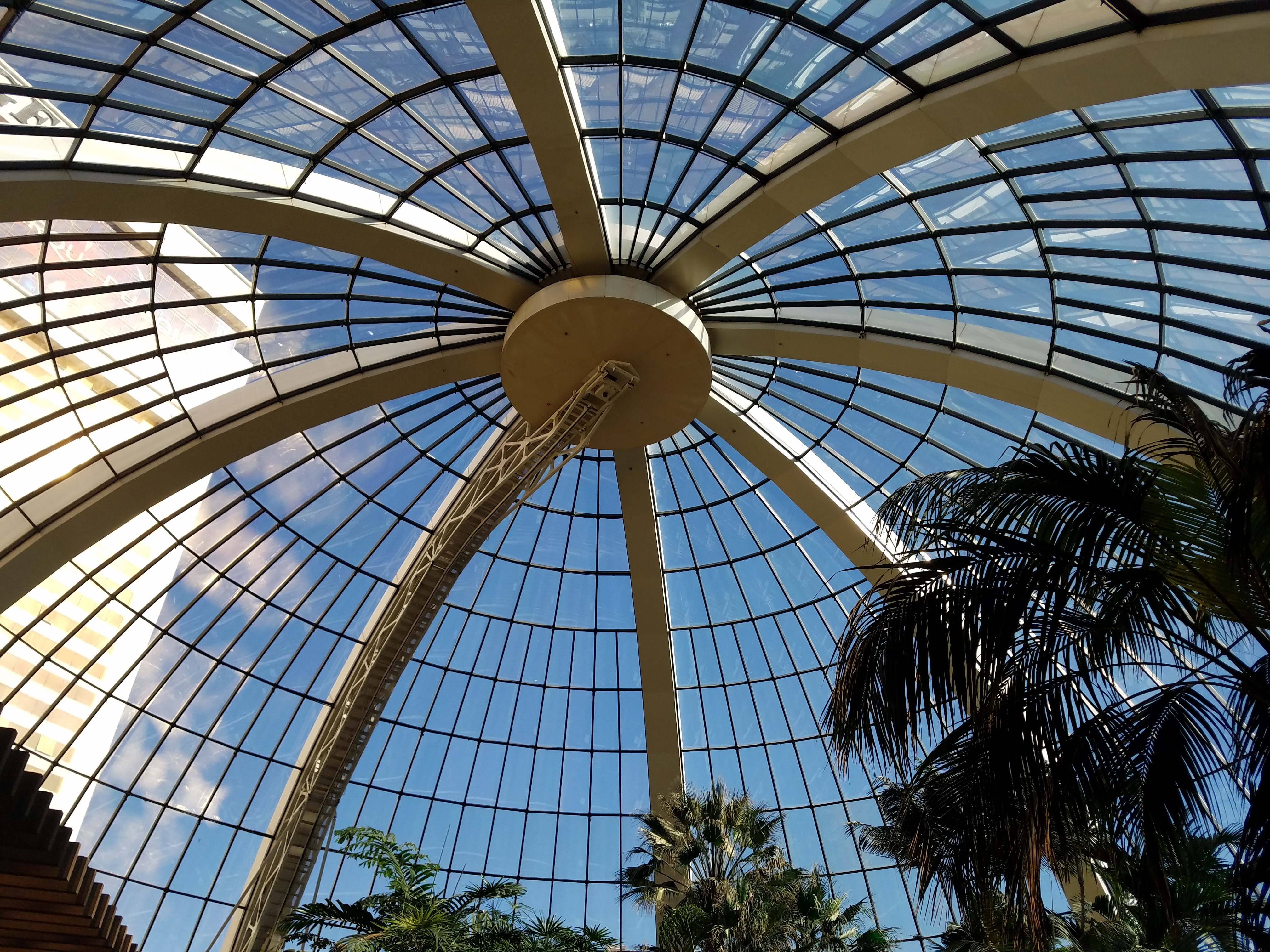 Mirage Las Vegas Atrium Glass Ceiling I Put My Life On A Shelf