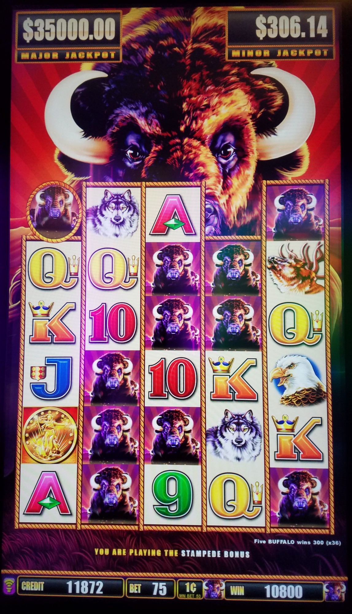 buffalo slot machine wins