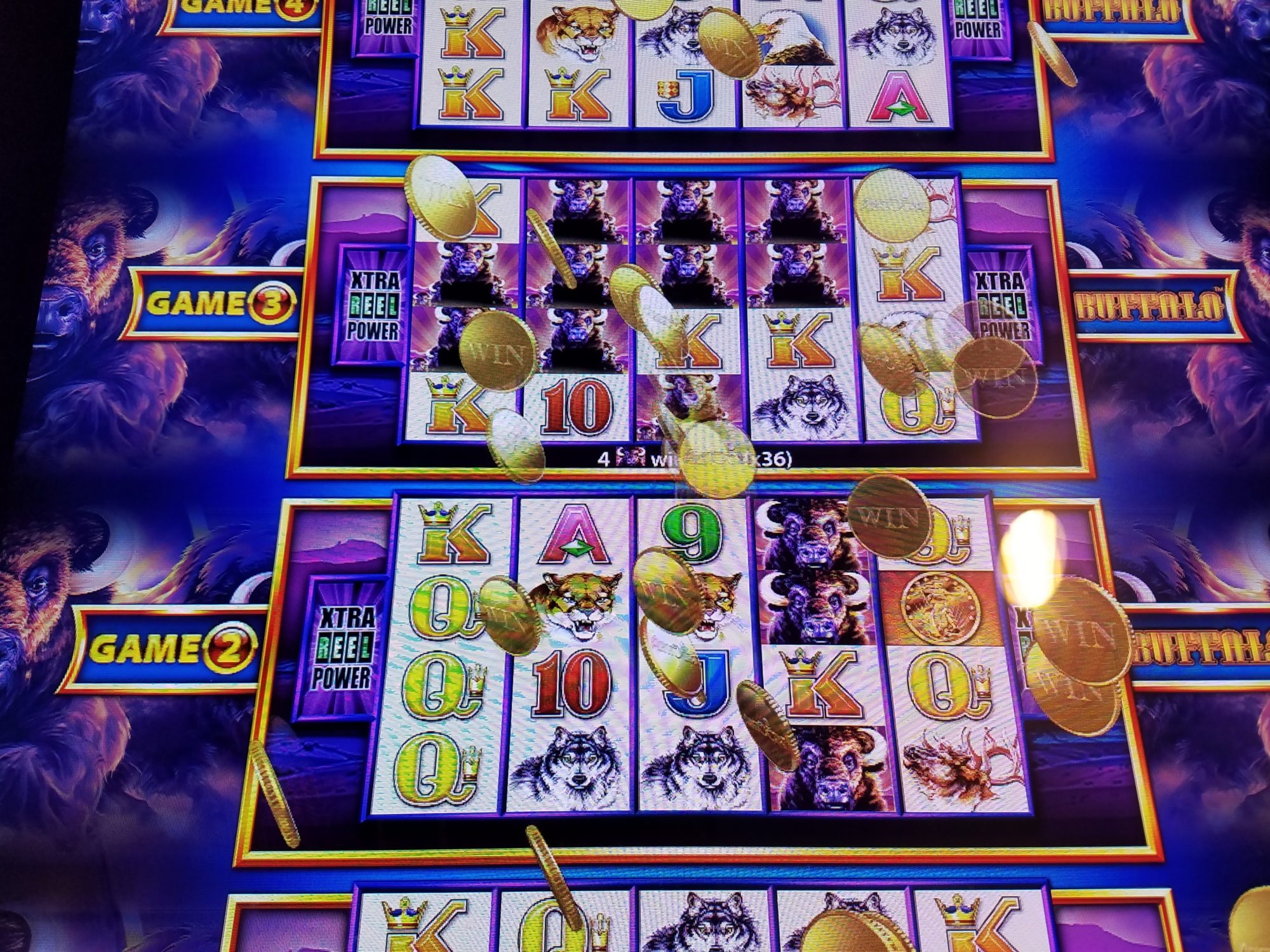 buffalo slot machine payouts