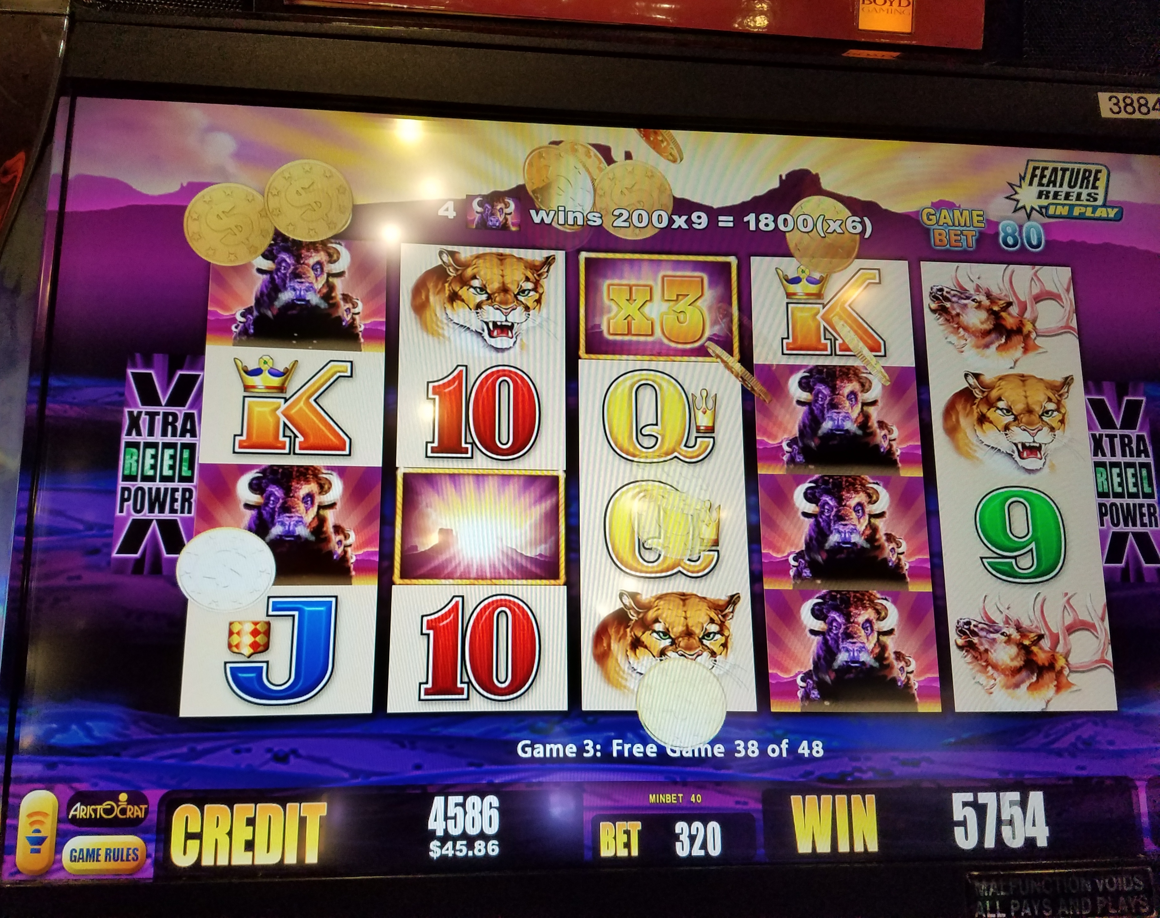 biggest win on buffalo slot machine biggest win on buffalo slot machine